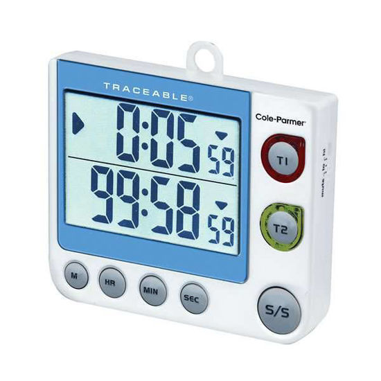 TIMER FLASHING LED DUAL Product John Morris Group