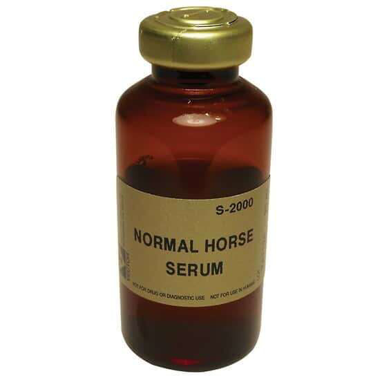 Vector Laboratories S2000 Normal Horse Serum, concentrated; 20 mL Product John Morris Group
