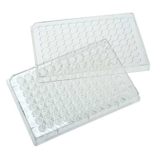CELLTREAT Scientific Products 229147 48-Well Treated Cell Culture Plate With Lid 50 Cs 0195907 - View #5