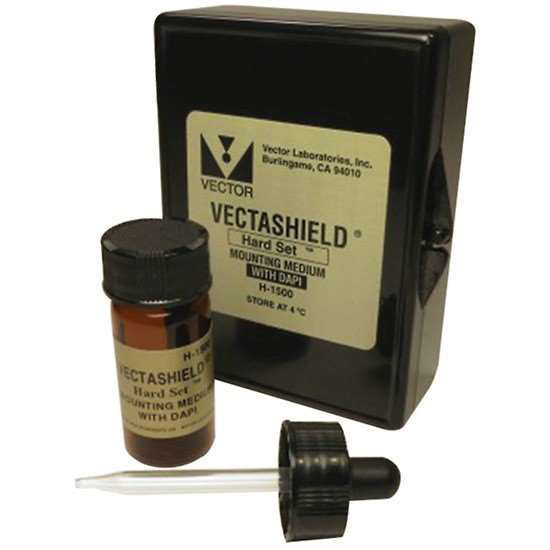 Vector Laboratories VECTASHIELD® Antifade Mounting Medium with PI, 10 ml Product John Morris