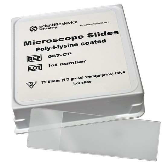 Masterflex Adhesive Coated Microscope Slide, Polyllysine; 144/PK