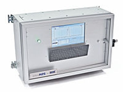 H2S On-Line 2 Channel for gas sample (no IECEx enclosure)