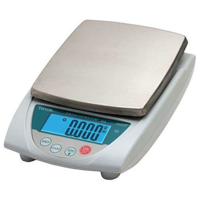 Taylor TE22FT 22 lb. Digital Portion Control Scale