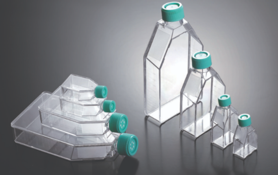 Tissue Culture Flasks 25 ml, PS 12,5cm², treated, sterile, with cap, pack of 10_1512775