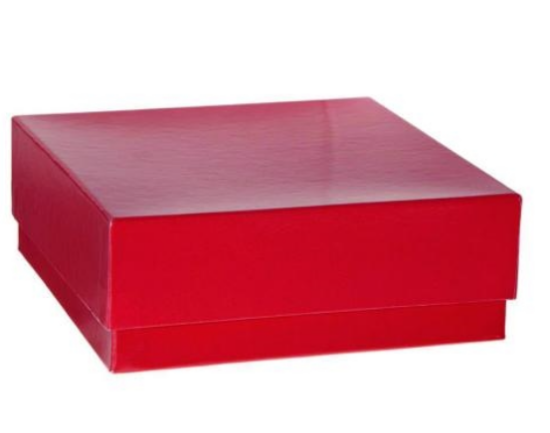 True North® Cryobox 133x133x50 mm cardboard, red, with lid_1599349
