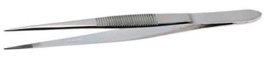 Cole-Parmer Essentials Stainless Steel Tweezers, Straight Tips, Serrated, 127mm_1893120