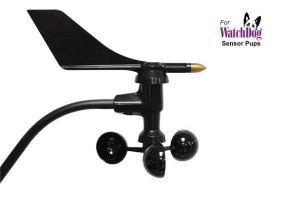 Digital Anemometer_1267276