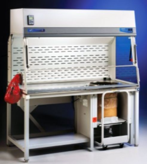 Labconco 5' XPert Bulk Powder Filtered System, Right Access, 230V, 50 ...