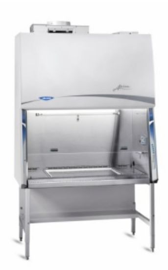 6' Purifier Axiom Class II Type C1 Biosafety Cabinet with 8" sash opening with two service fixtures, one on each side, UV lamp with timer, and right-side wall Vacu-Pass Portal and with unassembled base stand, 230V, 50/60Hz_1732239