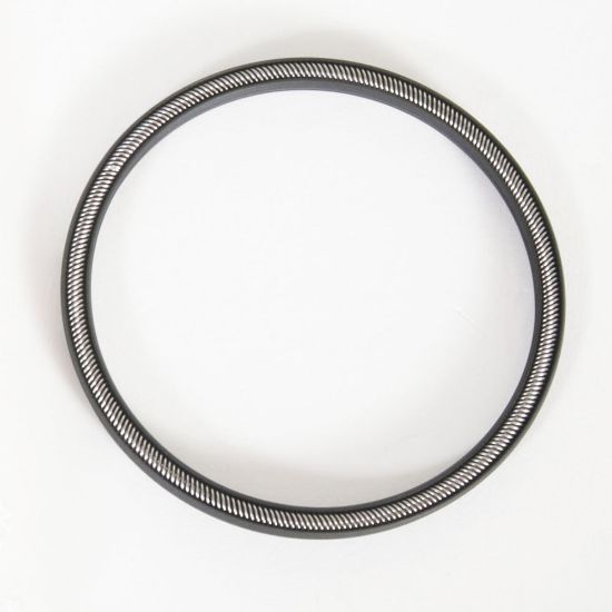 Standard Replacement Seal, lower, for 1000X or 1000D, Graphite/PTFE_1890553