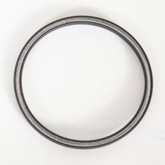 Replacement Seal, lower, for 1000X or 1000D, Graphite/PTFE - High Temperature_1890561
