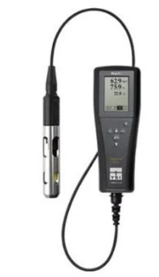 Pro20i-4 P Kit - Pro20i Dissolved Oxygen and Temperature Handheld with 4-meter integral (non-detachable cable) and 2003 Polarographic sensor kit_1904892