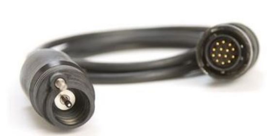 20-4 - DO/Temp 4-meter cable assembly_1904917