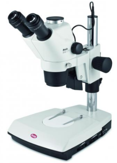 Zoom Stereo Microscope SMZ-171-TLED Greenough type, trinocular head 45° inclined_1514665