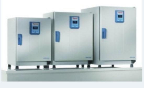 OVEN GP 60L 230V - OMS60_1562079