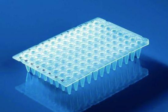 PCR plates 96-well, 0.2 ml PP, thin walled, flexible, high wells without frameworks, pack of 50_1565769
