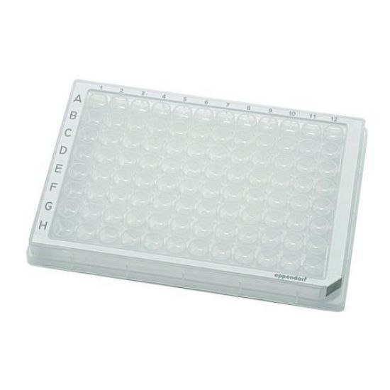 Microplate 96/V-PP, clear wells, border color white, sterile, 80 plates (5x 16 pcs.)_1608173
