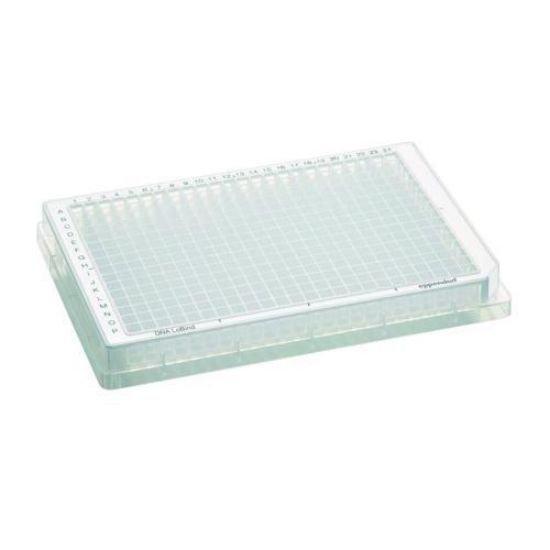 Microplate 384/V-PP, clear wells, border color white, DNA LoBind, PCR clean, 80 plates (5x 16 pcs.)_1608246