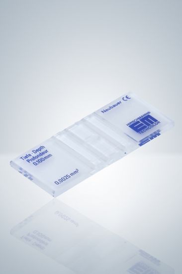 Counting chamber according to Neubauer-improved double ruling_1605717