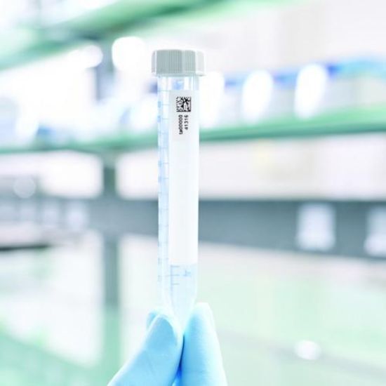 Conical Tubes 15 mL, sterile, pyrogen-, DNase- , RNase- and bacterial DNA-free, colorless with 2D SafeCode, 500 tubes (10 bagsx50 tubes)_1878865