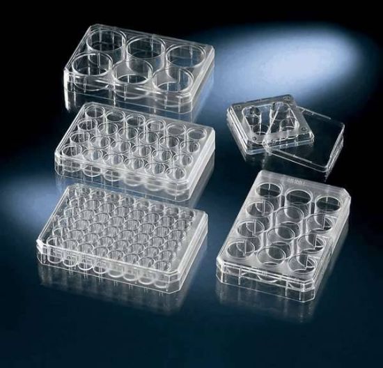 Thermo Scientific Nunc 4-Well Culture Dish, Non-Treated, Sterile, 120 ...