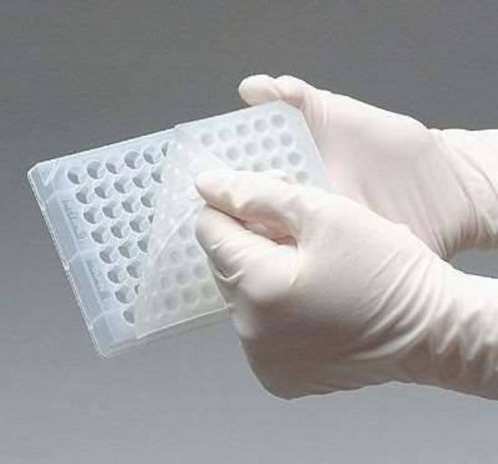 Thermo Scientific Nunc Sterile Lids for 96-Well Plates, 50/Case | John ...