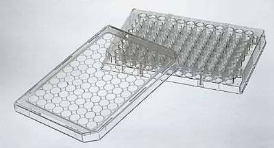 MICROWELL PLATE FLAT 50/CS_1083105