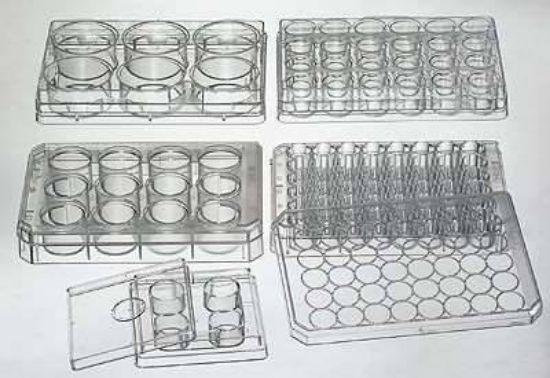 DISH W/LID 48-WELL 75/CS_1079421