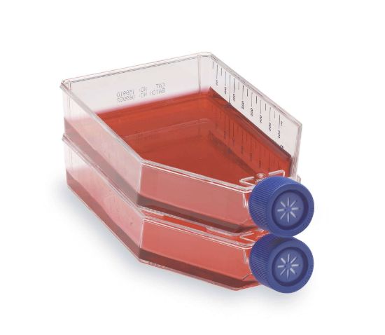 FLASK TISSUE CULTURE 30/CS_1081952