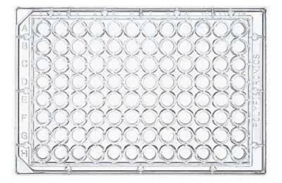 FLASK TISSUE CULTURE 50/CS_1083573