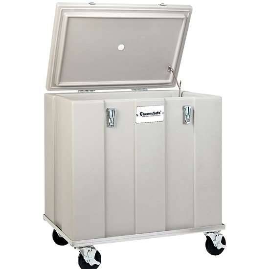 ThermoSafe 301 Dry Ice Storage Chest; 3.75 cu ft, 200 lb Pellet Capacity_1087404