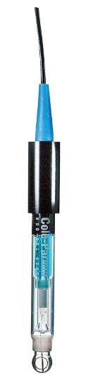 ELECTRODE PH 10 FT CABLE_1091911