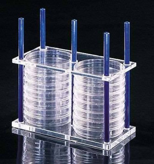 Thermo Scientific Nalgene Petri Dish Rack for 24 Dishes, 100 mm ...