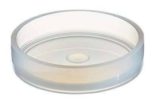 DISH PETRI PTFE 50X15MM 1/PK_1090153