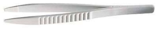 FORCEPS DISPOSABLE 100/PK_1096264