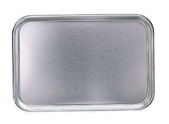 Cole-Parmer Essentials, Stainless steel utility tray, 10"L x 6-1/2"W_1096971