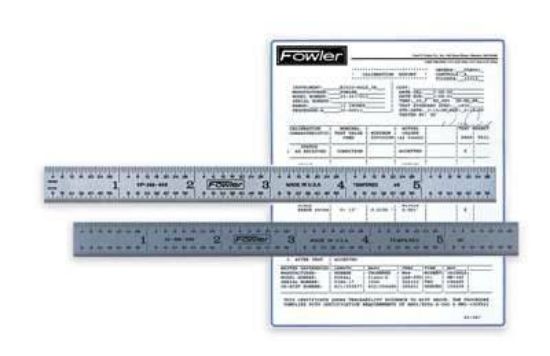 Fowler Ruler 12