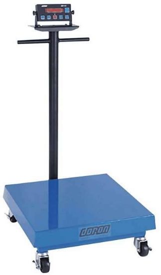 SCALE 100LB/45KG 230VAC 18"_1247459
