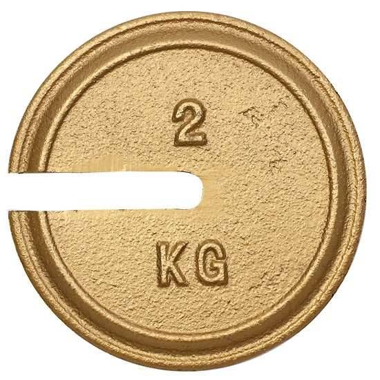 MASS 1KG SLOTTED W/TRACE_1110108