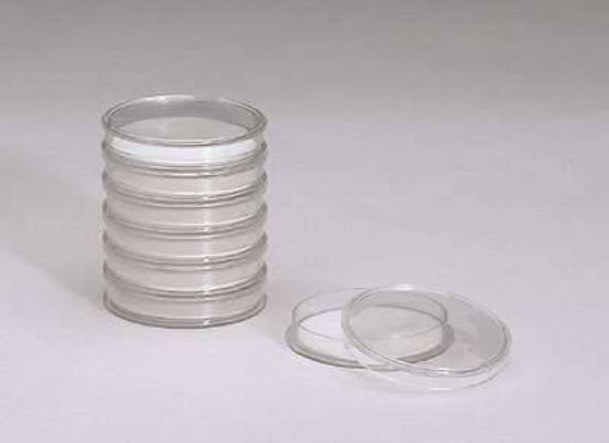 CUBE STERILE PETRI DISH 500/PK_1110776