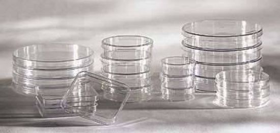 Thermo Scientific, Petri Dishes, 263991, Polystyrene, Round, Vented_1114579