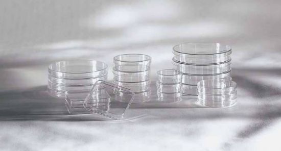 PETRI DISH 150X25 72/CS_1114599