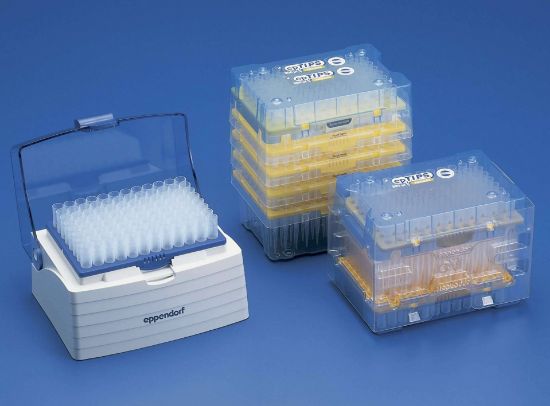Eppendorf Eptips Rack Sterile 20-300 UL | John Morris Group