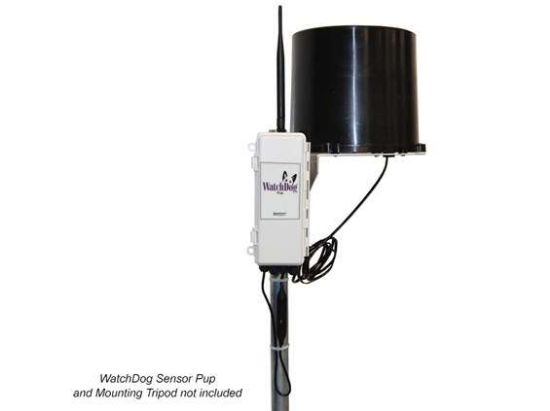 Digital Rain Collector_1146963