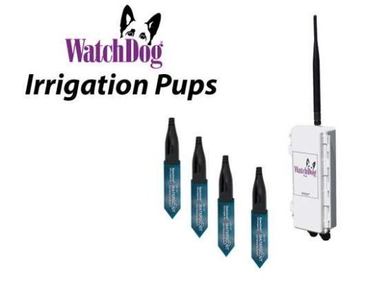 3-WaterScout Station W-Dog Sensor Pup_1142403