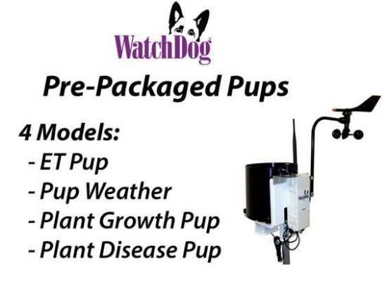 Watchdog Weather Pup Station_1138301