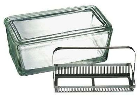STAINING DISH & RACK 50 SLIDES_1160419