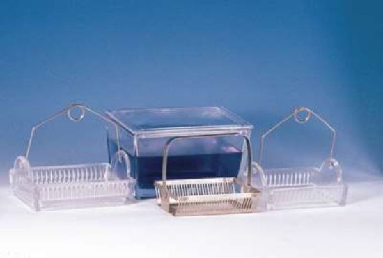 DWK Life Sciences (Wheaton) Glass Staining Rack for 16 to 32 Slides ...