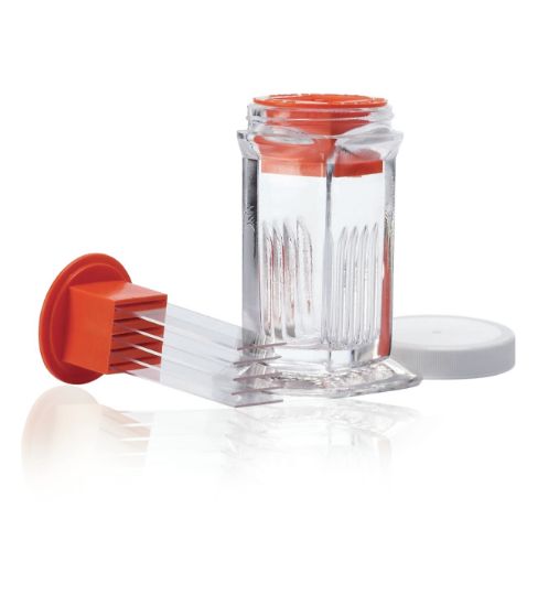 DWK Life Sciences (Wheaton) 900575 Slide Grip for Glass Coplin Staining Jar 48585-30, Holds 5-Slides_1146587