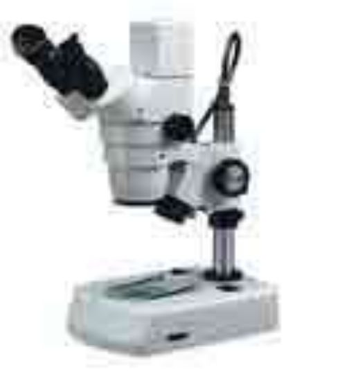 CAMERA MICROSCOPE STEREO_1273859